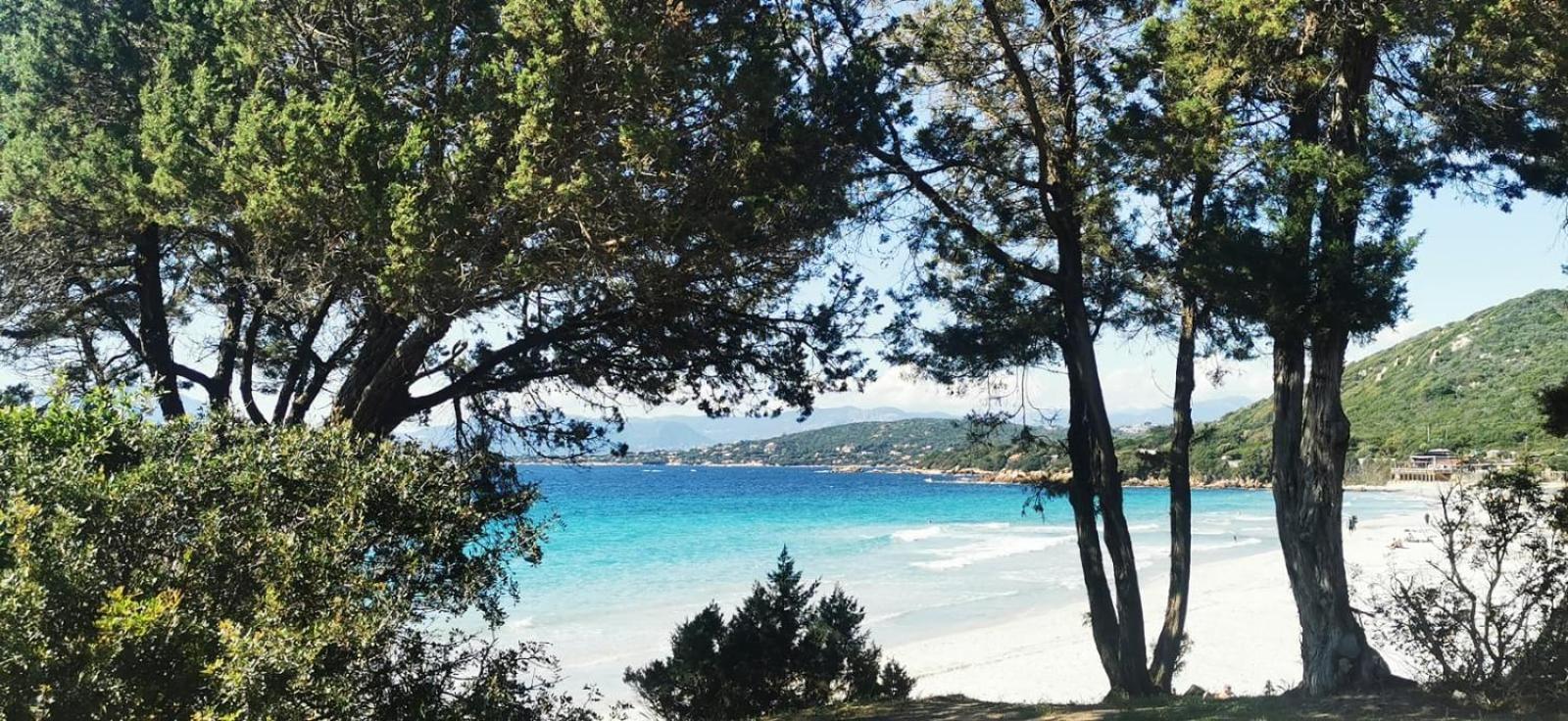 Studio avec terasse vue mer Porticcio  Extérieur photo